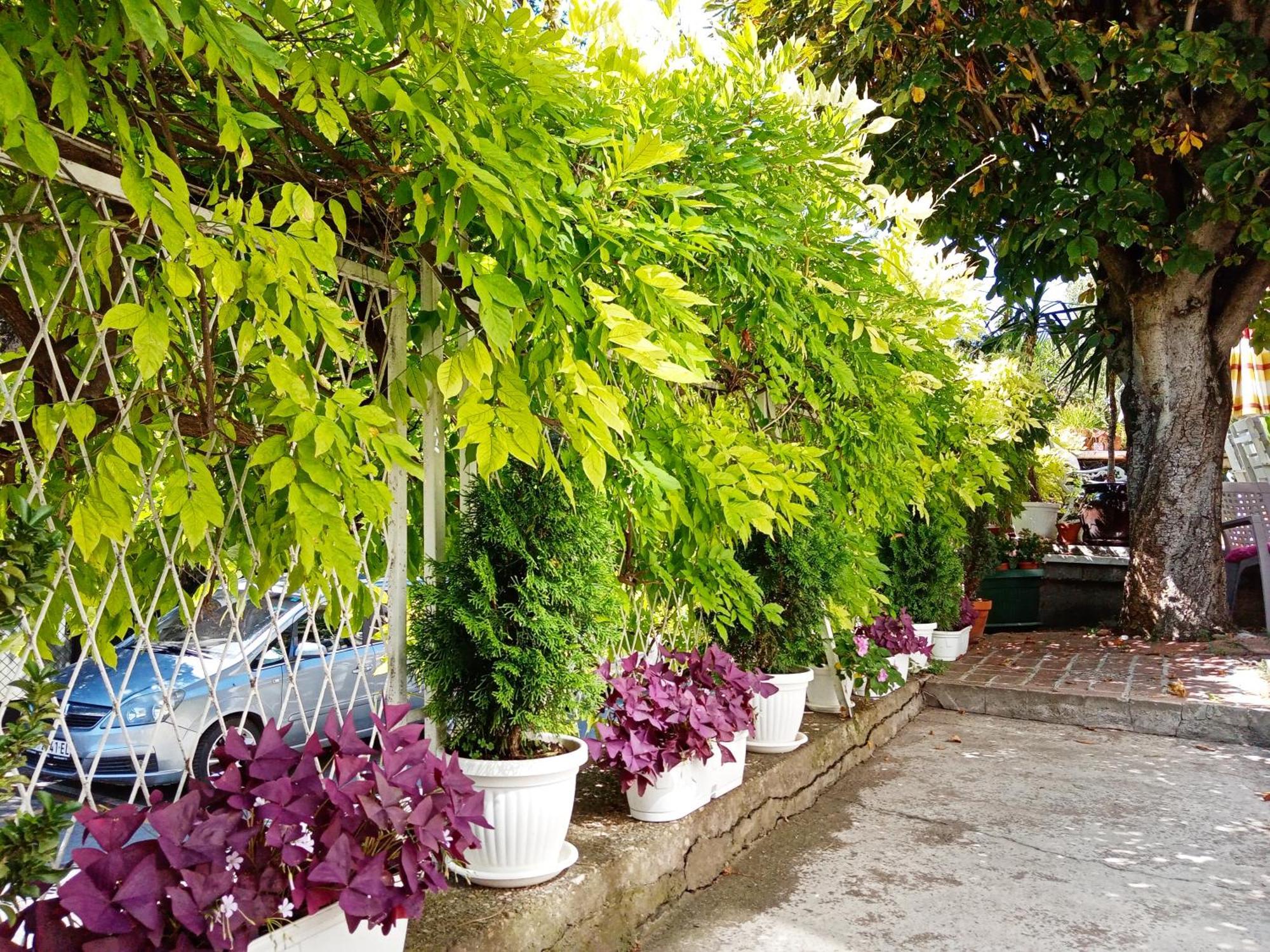 Belgrade Apartment Happy Garden Buitenkant foto