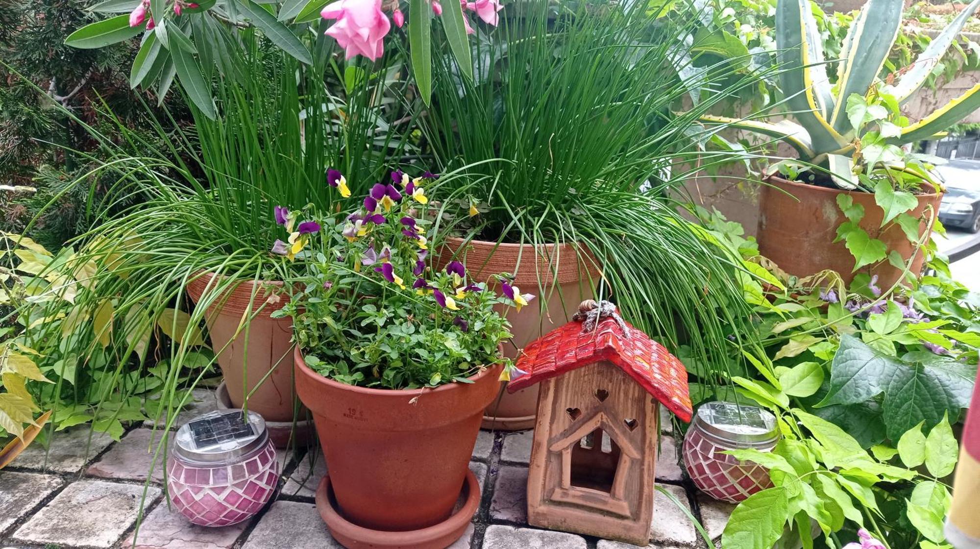 Belgrade Apartment Happy Garden Buitenkant foto