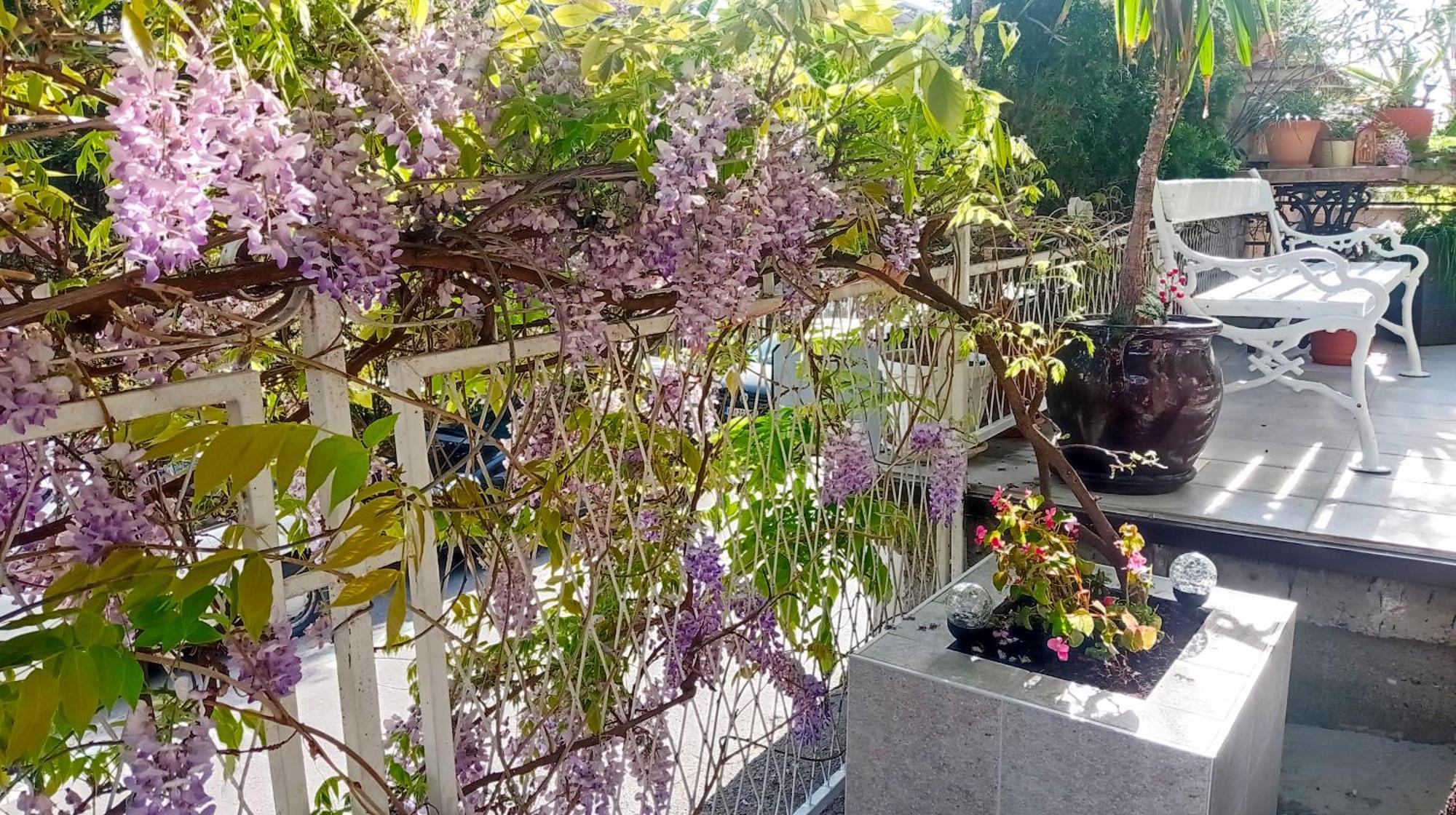 Belgrade Apartment Happy Garden Buitenkant foto